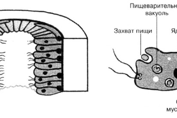 Кракен даркнет поддержка