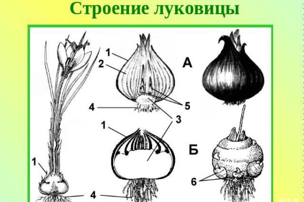 Что такое кракен плейс